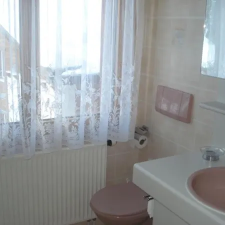 Appartement Aster By Interhome Saas Fee