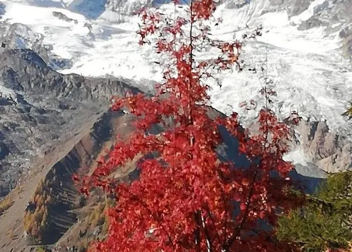 Appartement Aster By Interhome