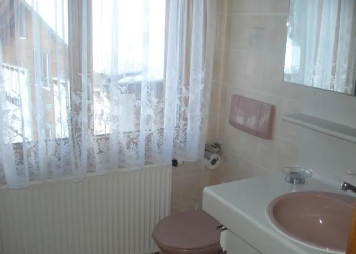 Appartement Aster By Interhome Saas Fee